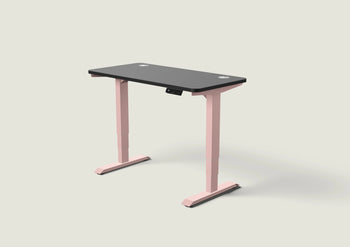 Indlæs billede til gallerivisning HomePro skrivebord