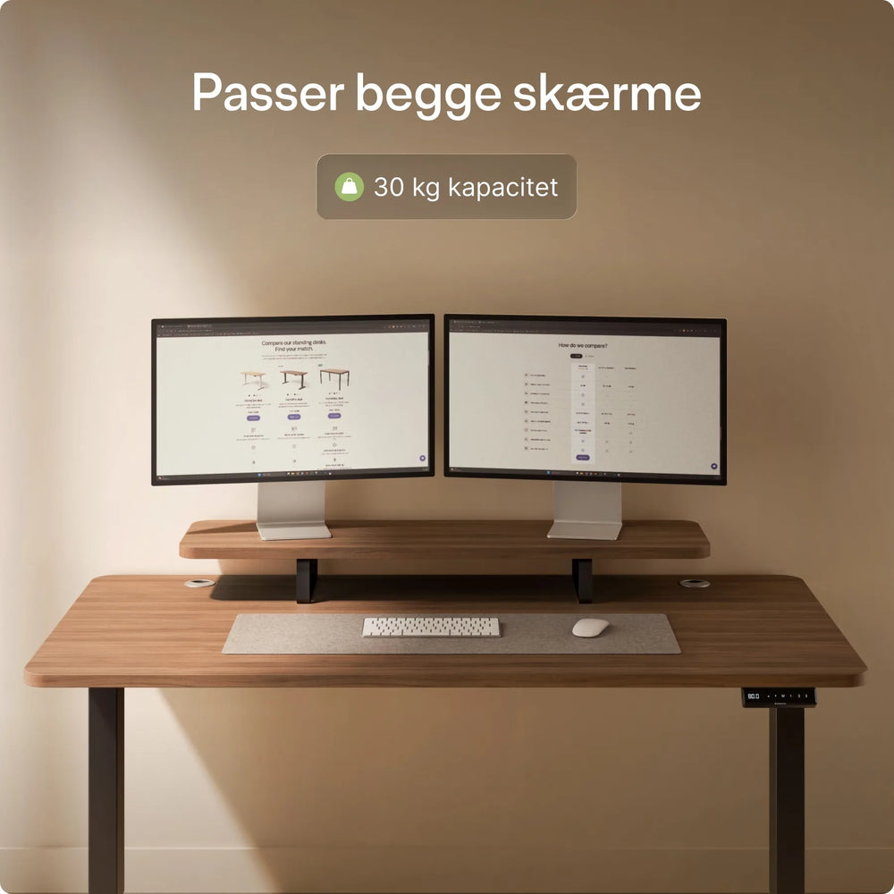 Skærmstander