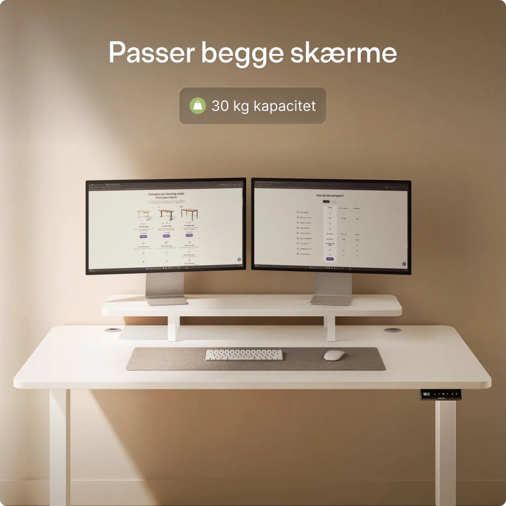 Skærmstander