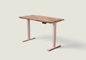 Indlæs billede til gallerivisning HomePro skrivebord
